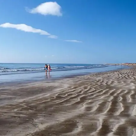 Con Piscina Privada *