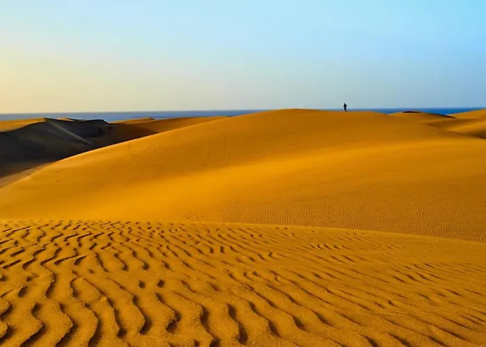 Con Piscina Privada 度假居